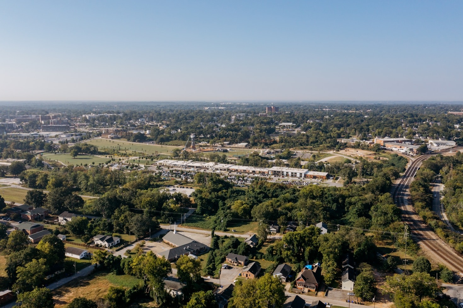 A Importância da Causa Animal no Distrito Federal