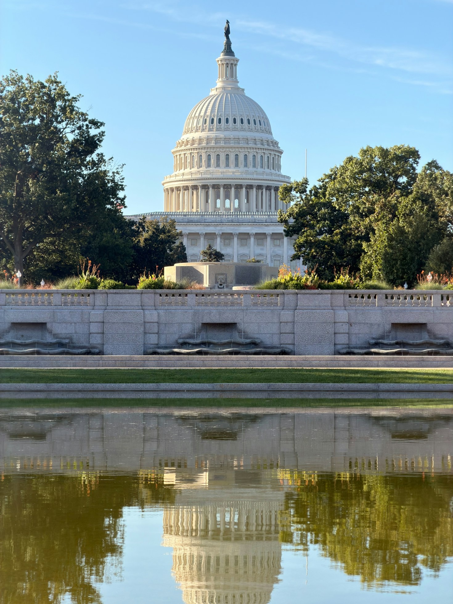 Conheça o Deputado que Representa os Animais